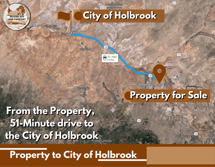 Nature and surprises abound on this 1.55acre lot in Saint Johns