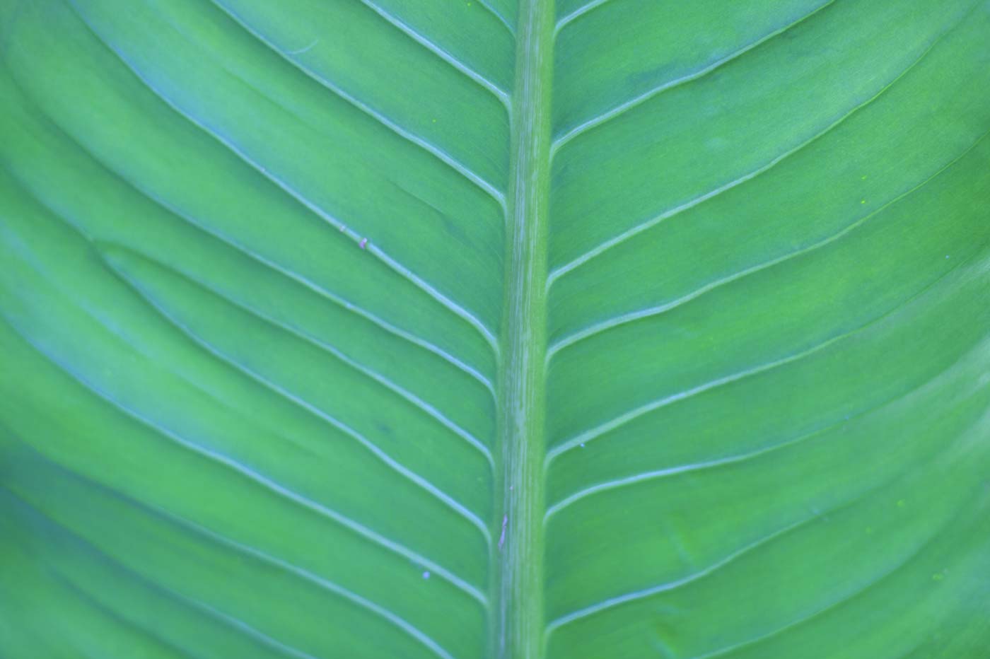 headerssecondaryhealthinsurancemembers Secondary Med