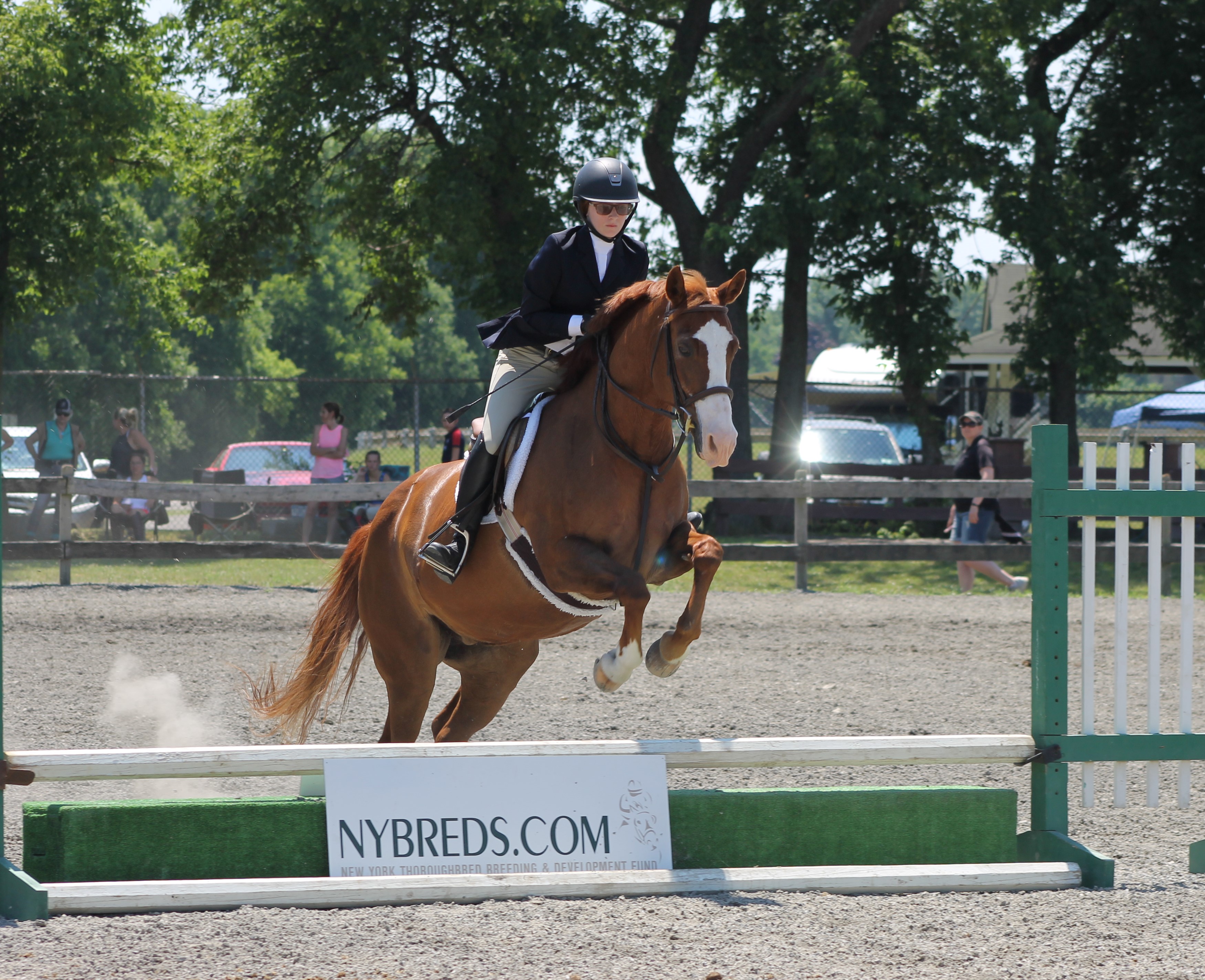 Thoroughbred Jubilee Benefit Horse Show Second Chance Thoroughbreds, Inc.