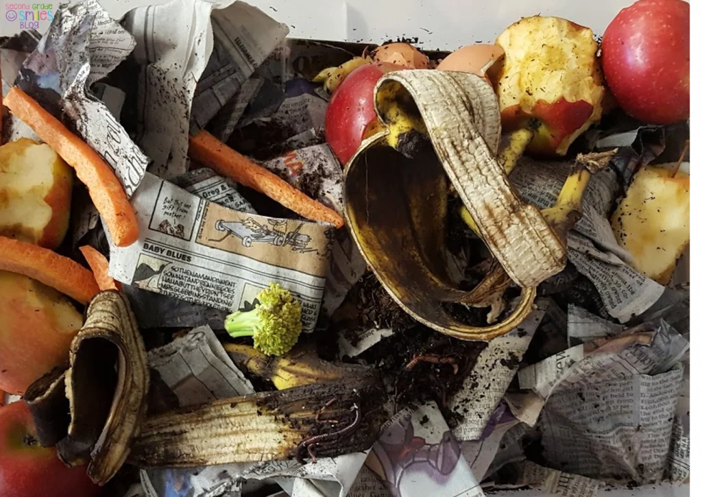Worm Composting in the Classroom Second Grade Smiles