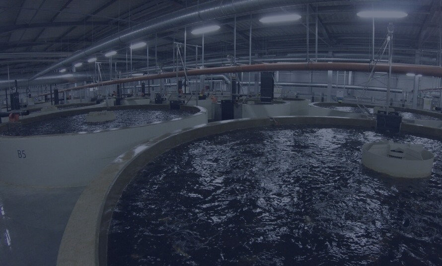 24Fish Second Hand Fish Farming Equipment