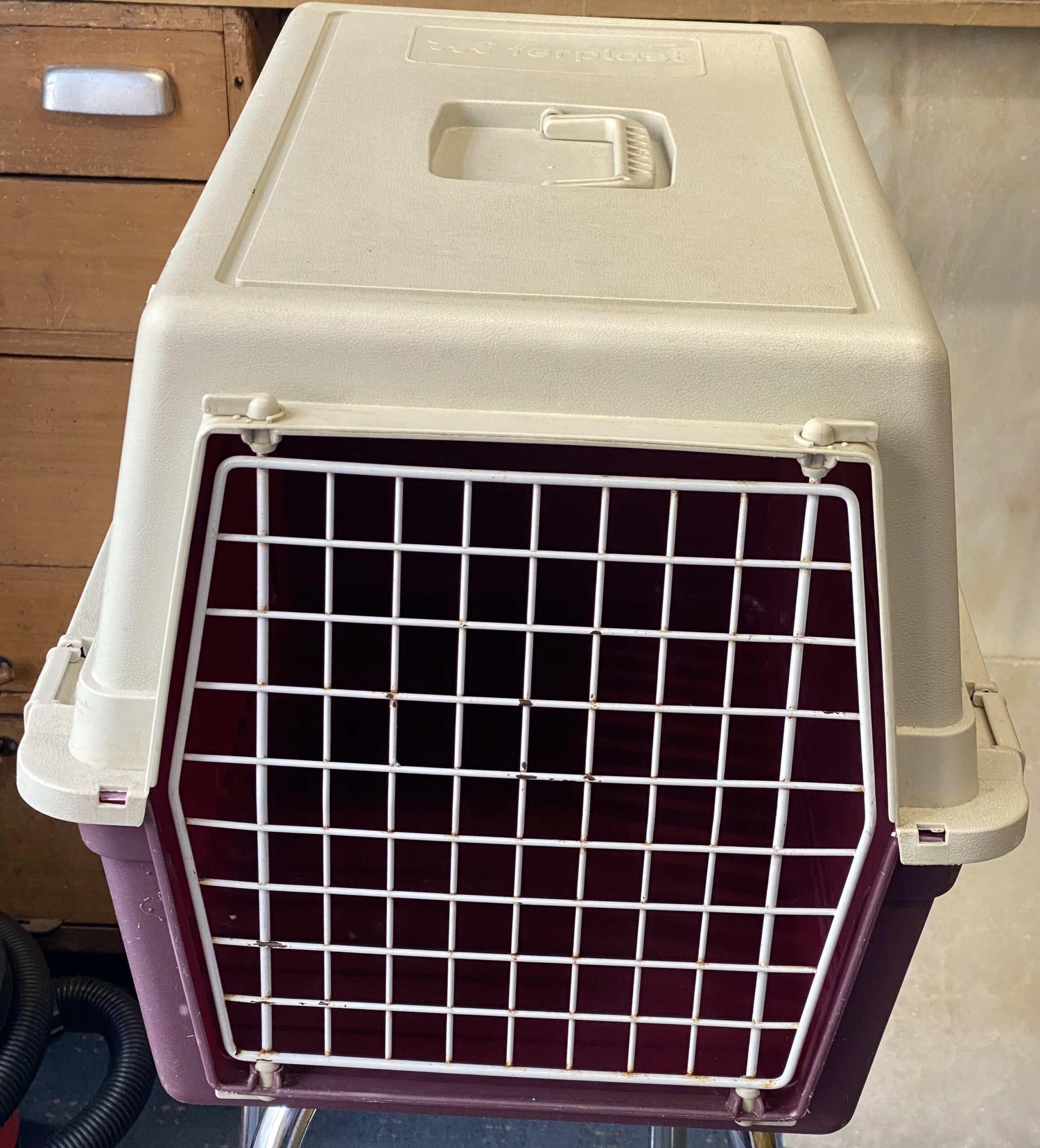 Pet Carry Case The 2nd Hand Shop