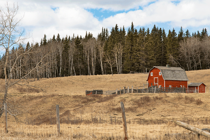 Alberta Ranch Second Home Search