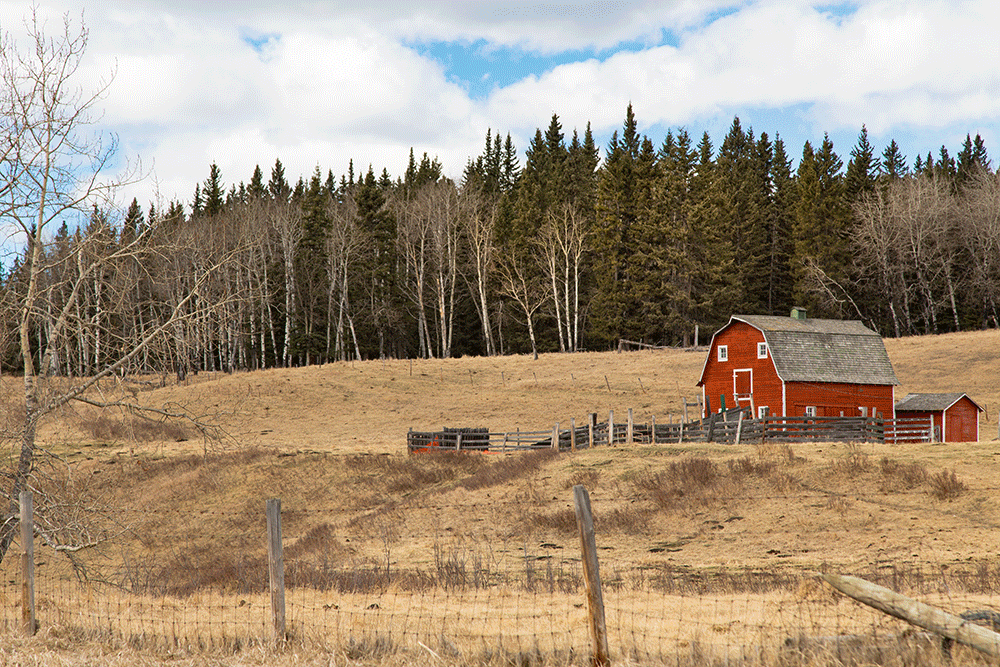 Alberta Ranch Second Home Search