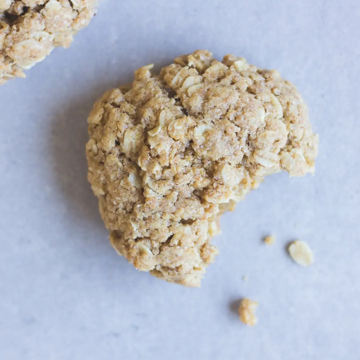 Organic Sprouted Oatmeal Cookie Mix Second Spring Foods