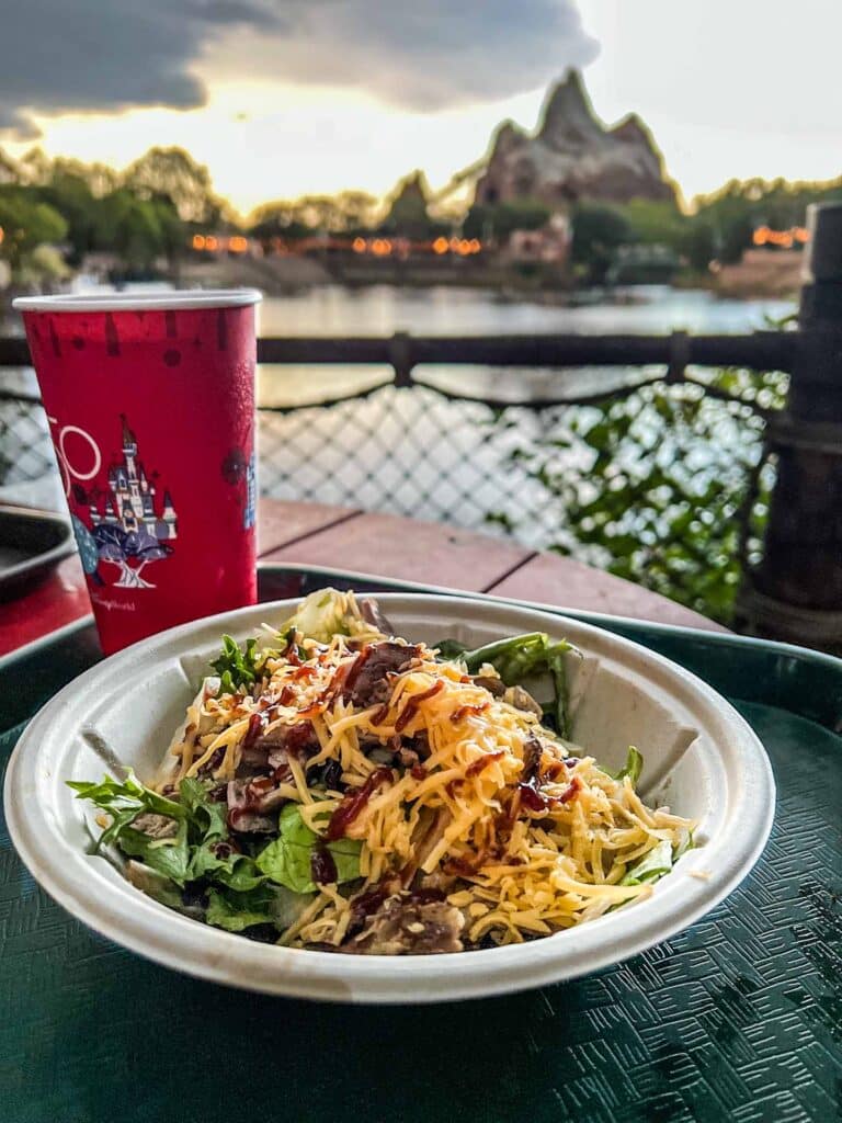 Disney World Quick Service Fast and Easy Dining on Call Seconds to