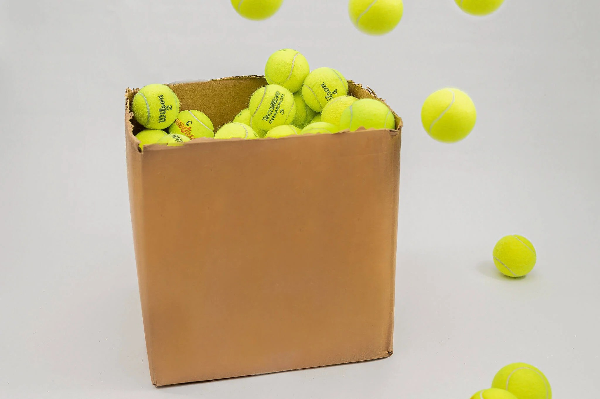 Are Wilson Tennis Balls Safe For Dogs
