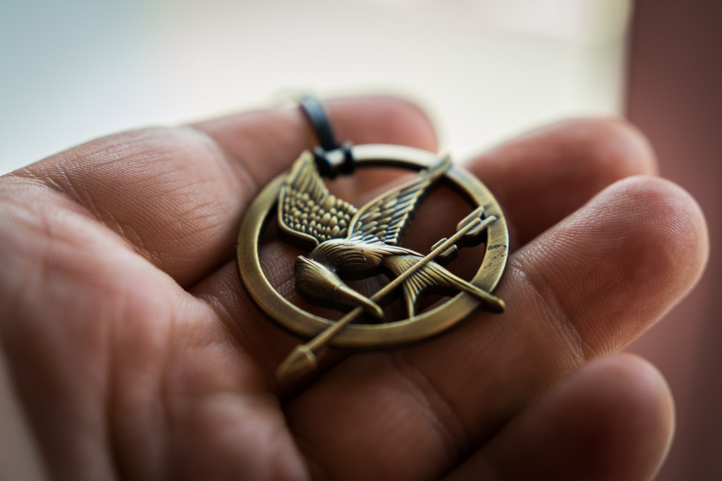 Second Unit 218 Die Tribute von Panem Mockingjay (Teil 1 & 2