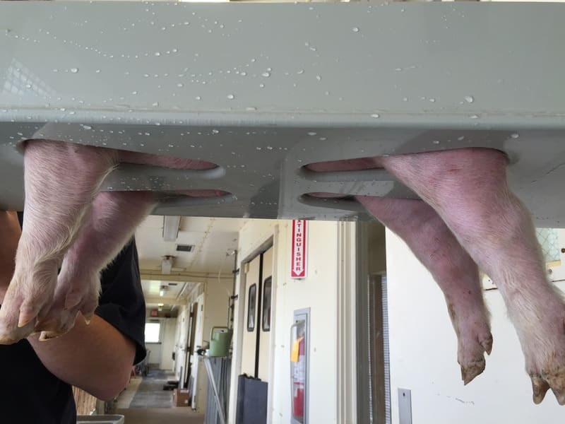 Matador SS3000 Captive Bolt Pistol Slaughtering Gun SecRepro