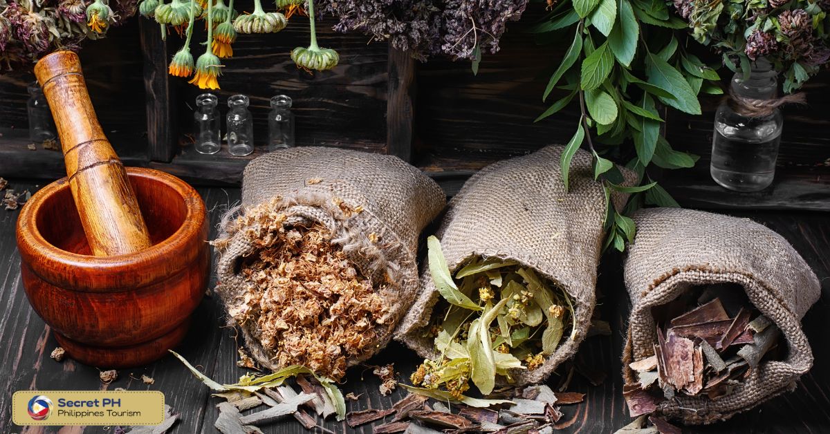Experience the Healing Power of Philippine Traditional Medicine Secret Philippines