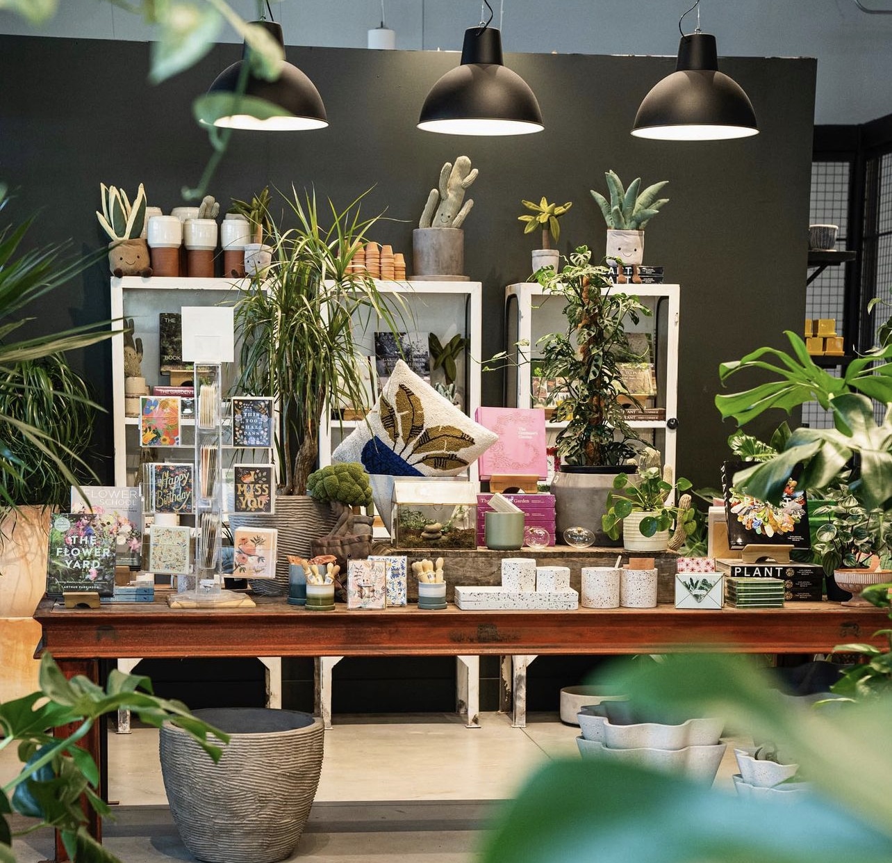 8 Plant Shops To Help Grow Your Green Collection