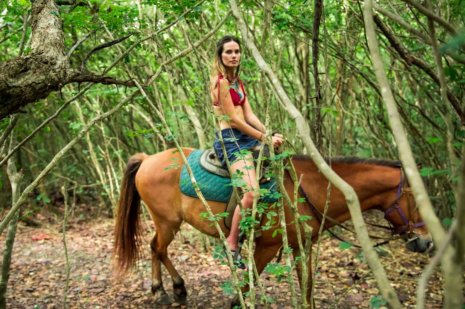 HorsebackRiding Secret Bay