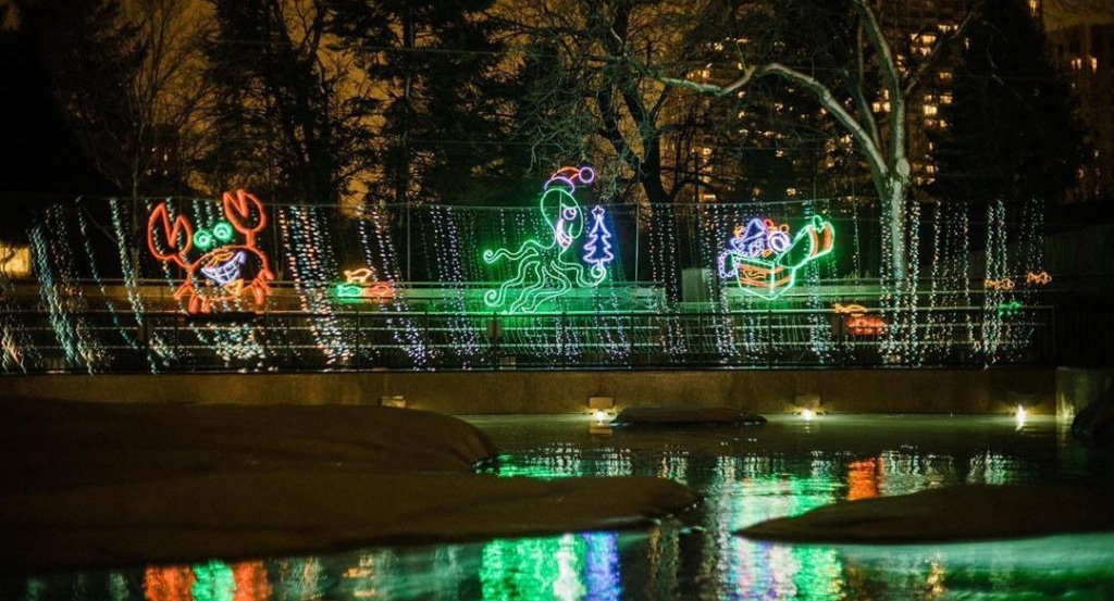 Chicago's Beloved ZooLights Experience Has Returned To Lincoln Park Zoo