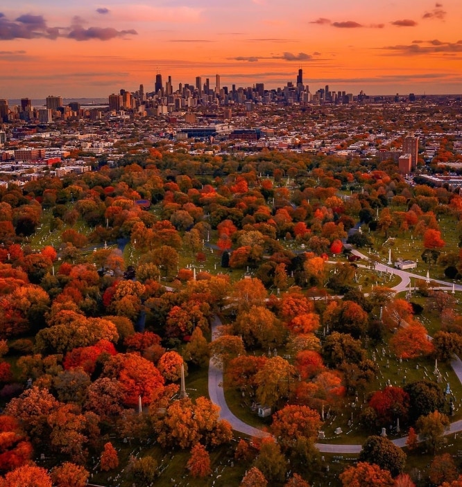 It's Officially Peak Fall Foliage In Chicago This Week Secret Chicago