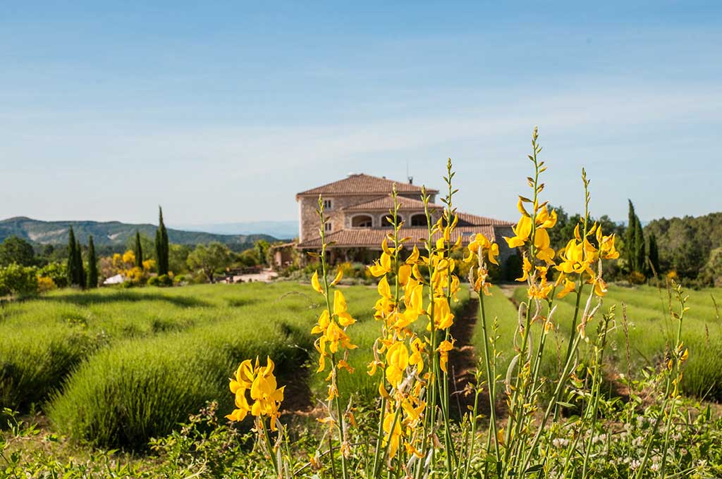 Secret d'Ardèche Le Domaine du Frigoulet