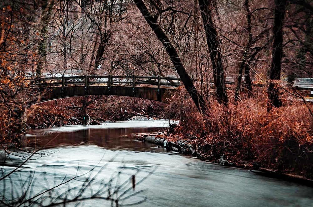 10 Beautiful Shots of Rock Creek Park That Will Make You Want To Get