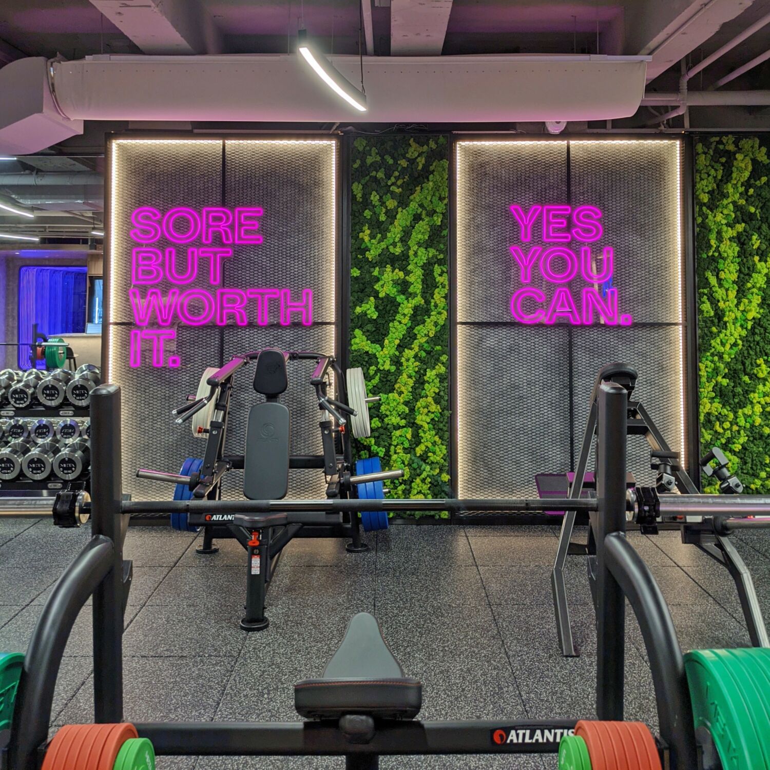 5 Things I Learnt About Fitness After Trying The New Meta Performance