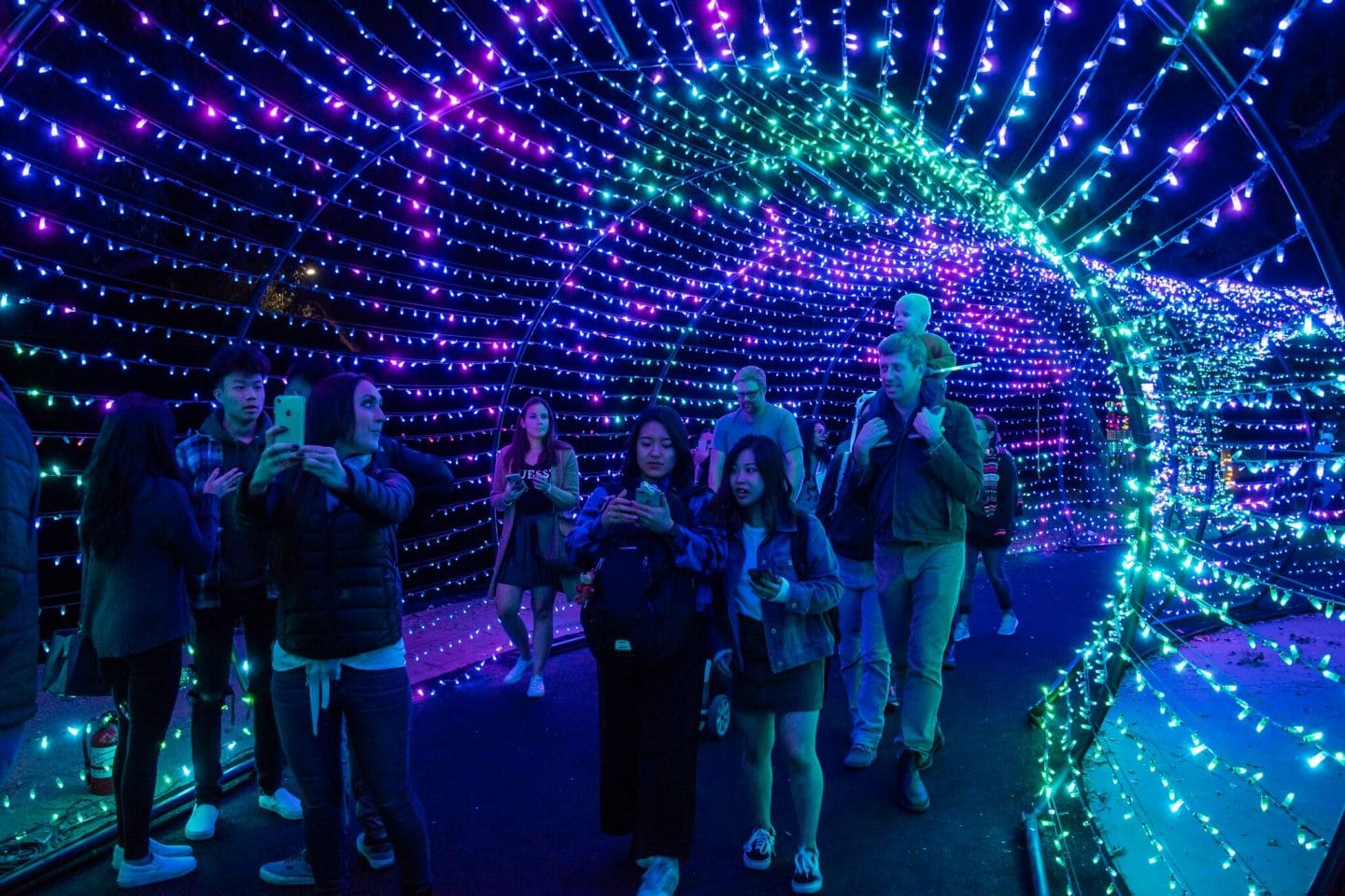 Explore A Wild Wonderland Of Lights At The L.A. Zoo! Secret Los Angeles
