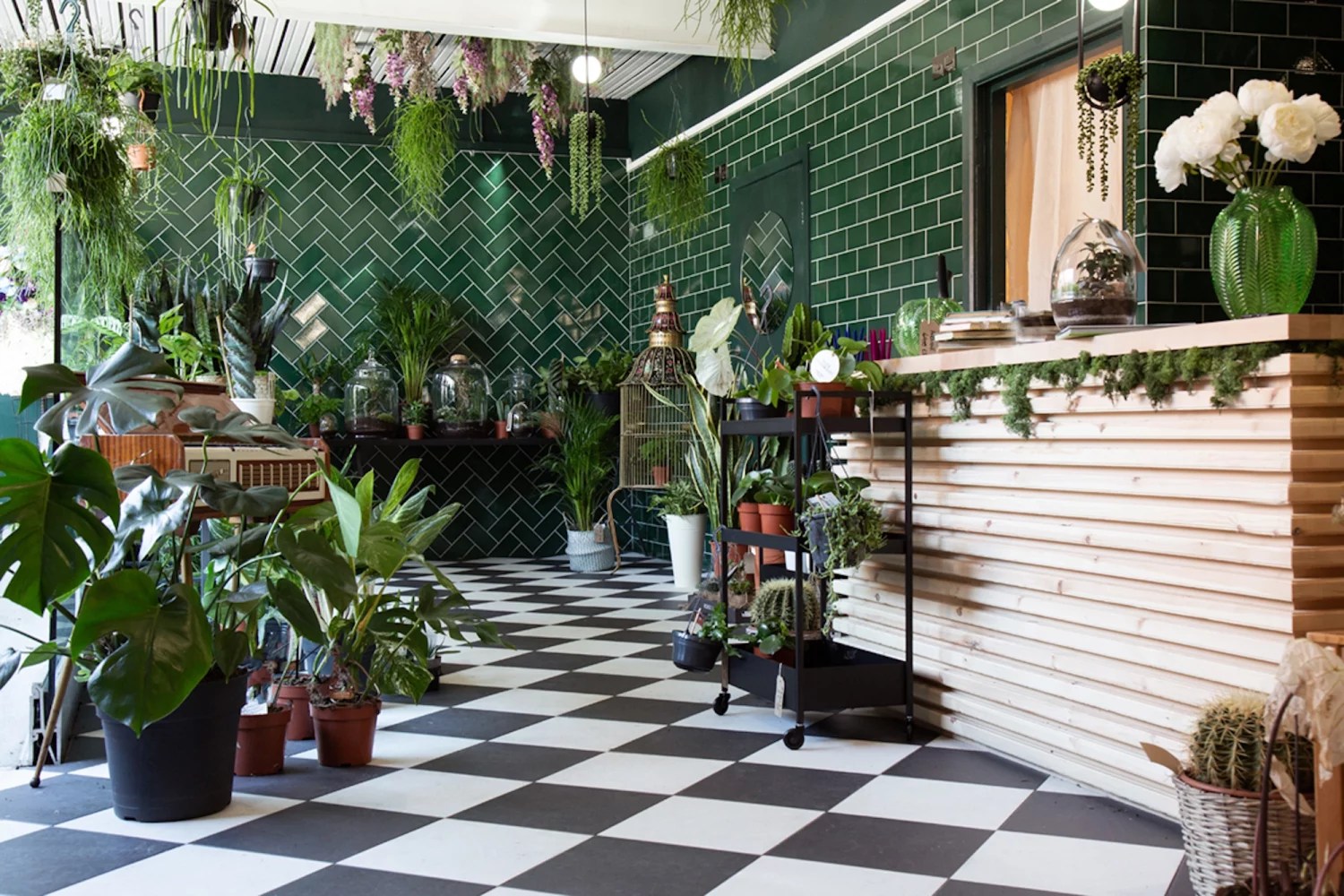 The Best Plant Shops In Manchester Secret Manchester