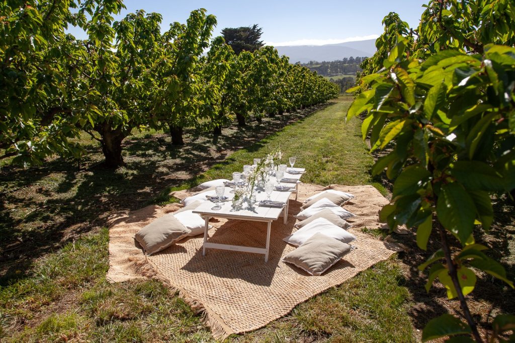 Treat Yourself To A Posh Picnic At This Cherry Orchard In The Yarra
