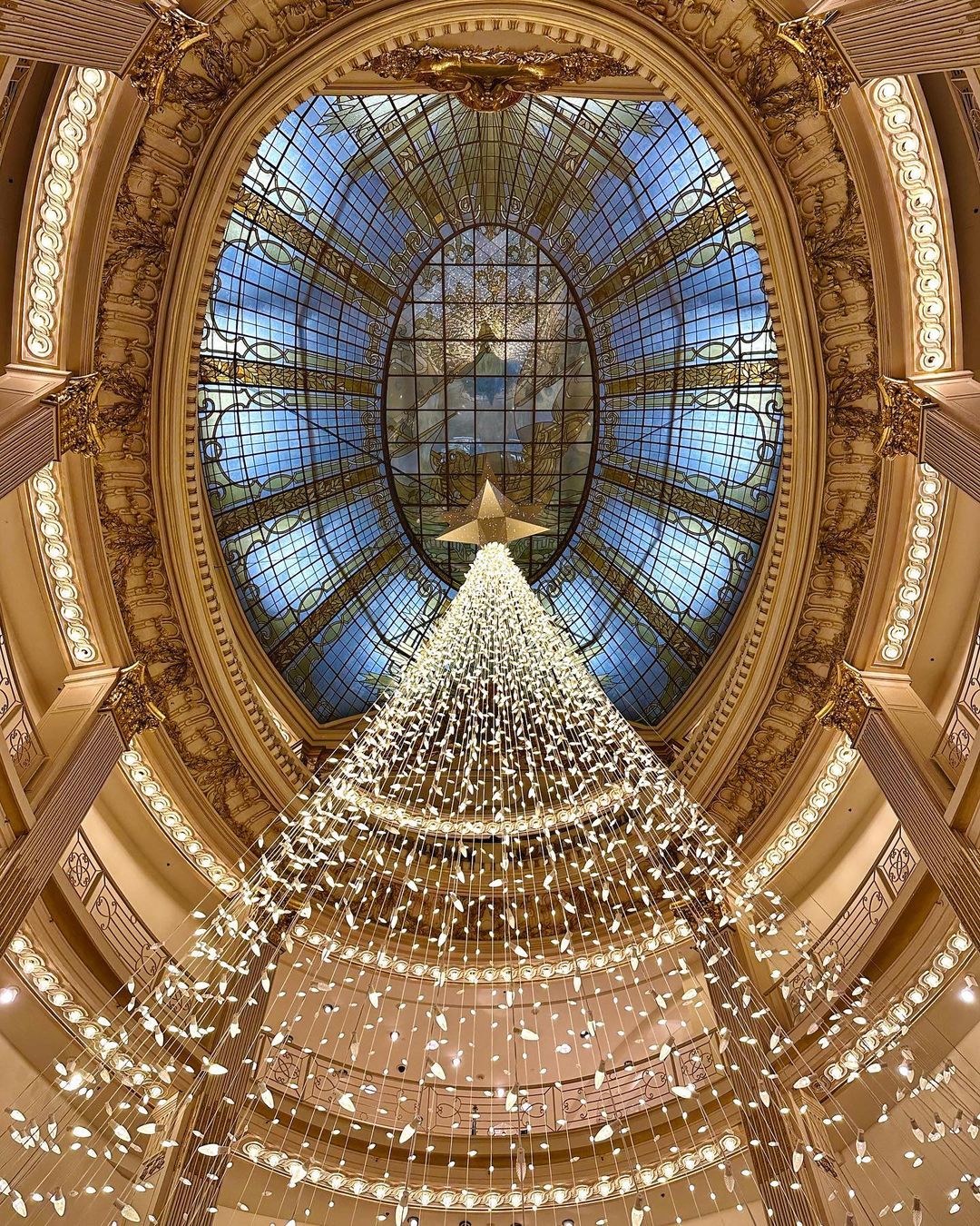 14 Best Christmas Tree Displays In San Francisco For 2023