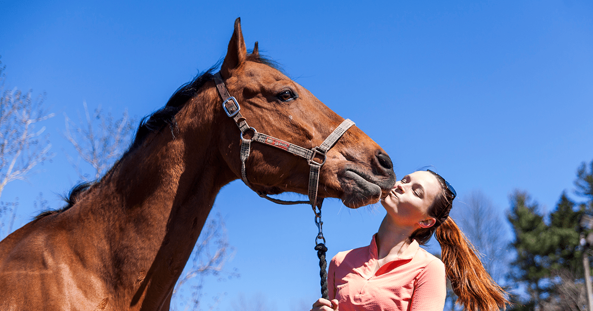 Love Horses? Be an ASPCA Equine Ambassador! ASPCA