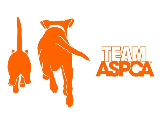 Tracy Team Aspca Aspca