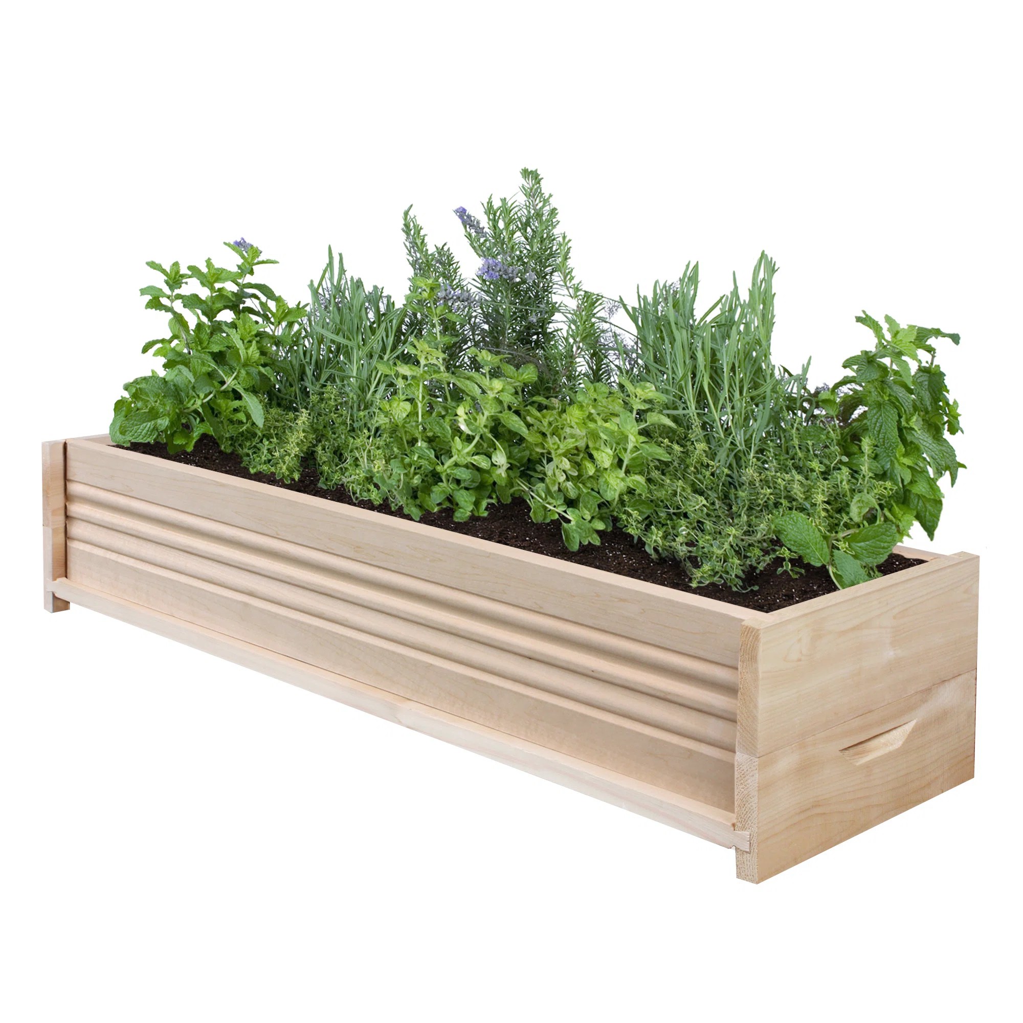 Rectangular Planter Box Wayfair