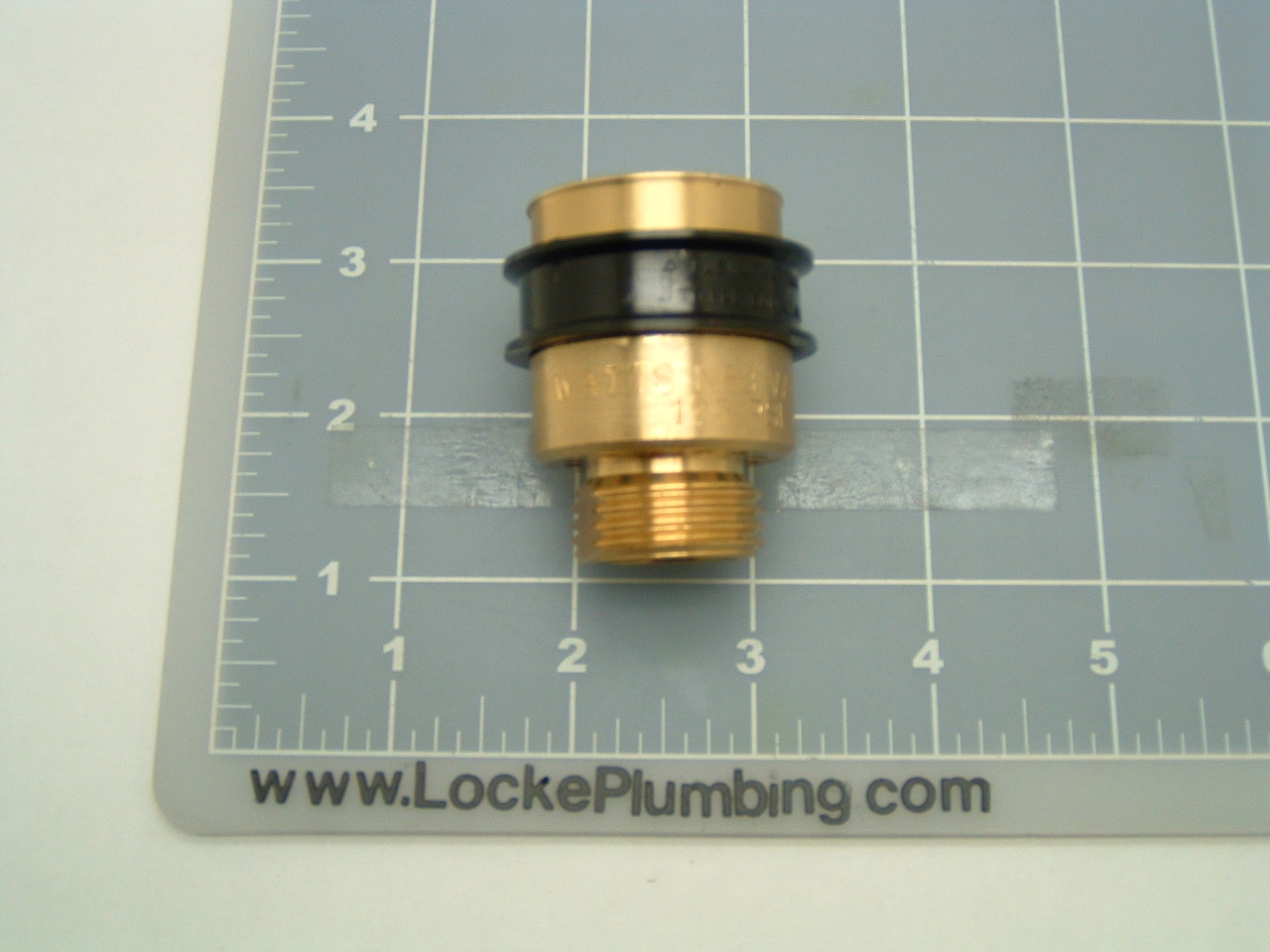 Watts 3/4 Inch NF8 Vacuum Breaker Locke Plumbing