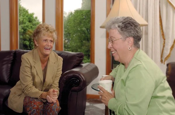 7 Useful Networking Groups for Women Over 60 Sixty and Me
