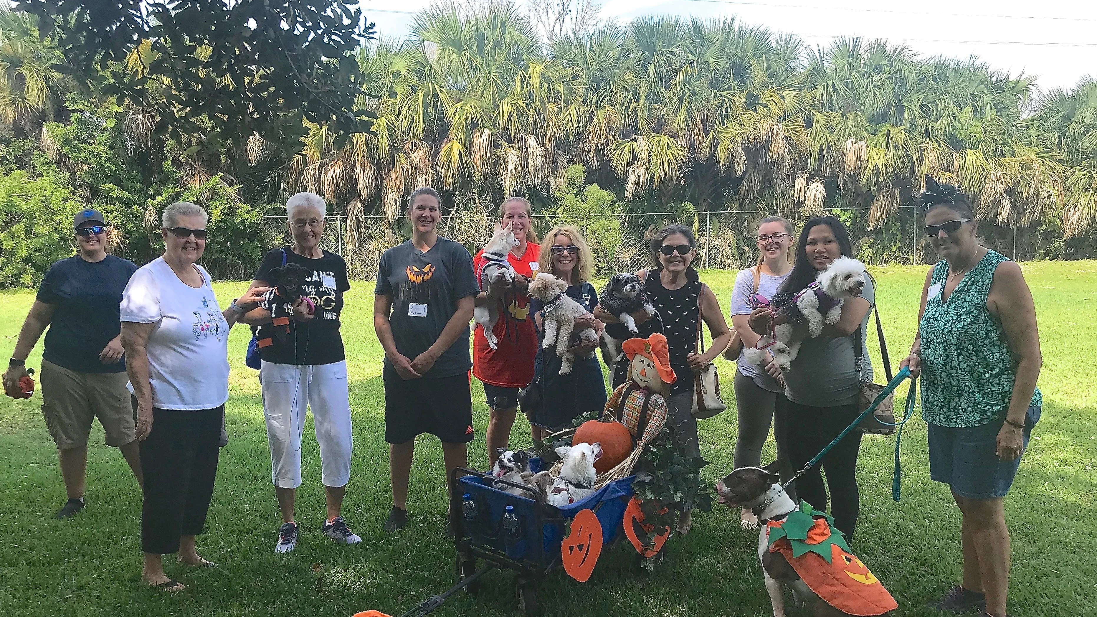 You are invited! Private Splash Party for Sarasota Dog Meetup Meetup