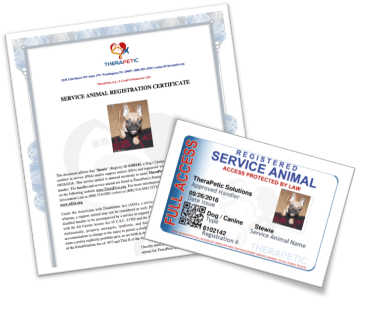 Canada Laws and Guidance for Service and Support Animals Psychiatric