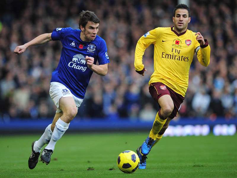 Everton's Seamus Coleman suffers ankle ligament tear