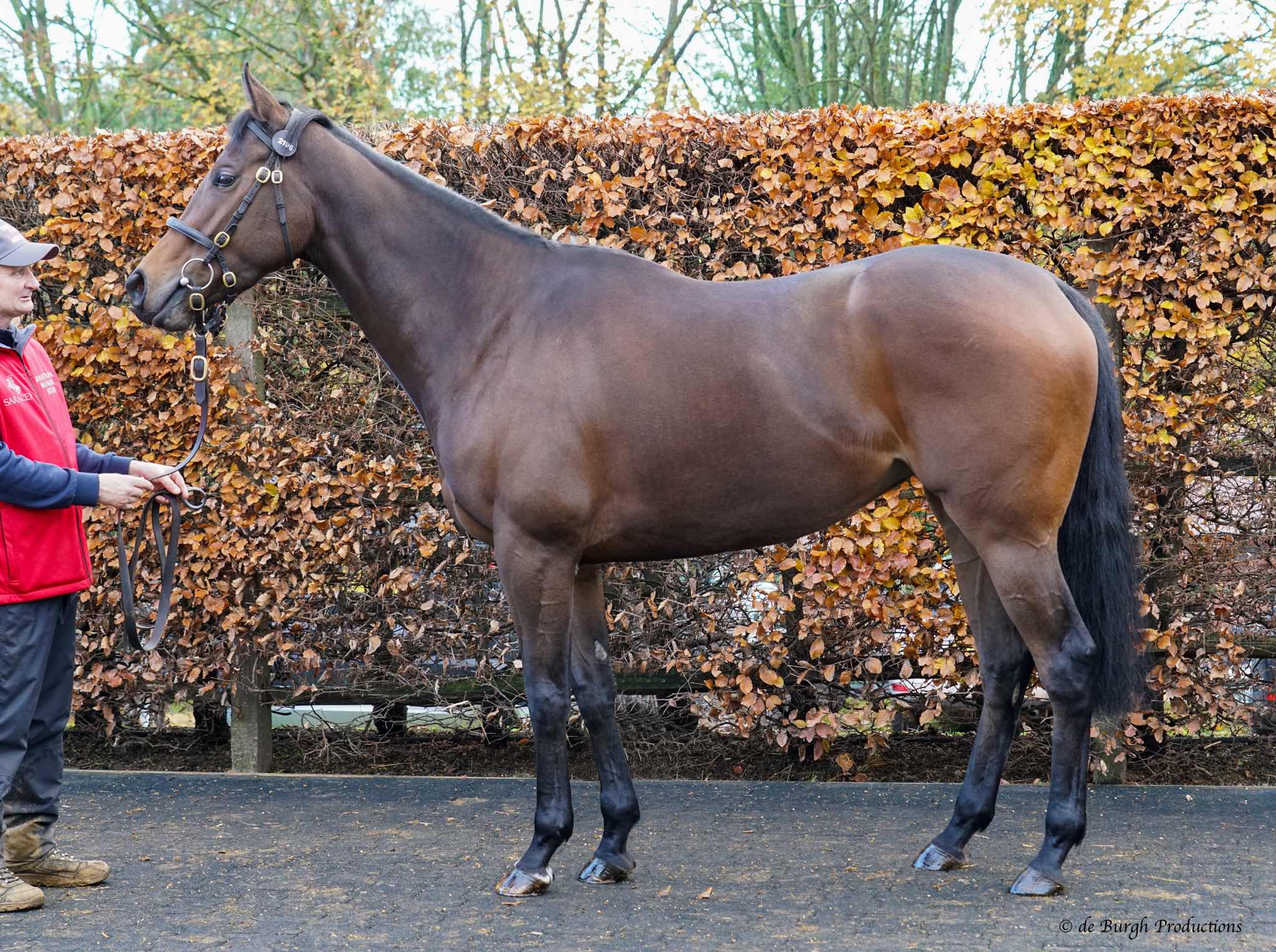 Other Sales for this Lot