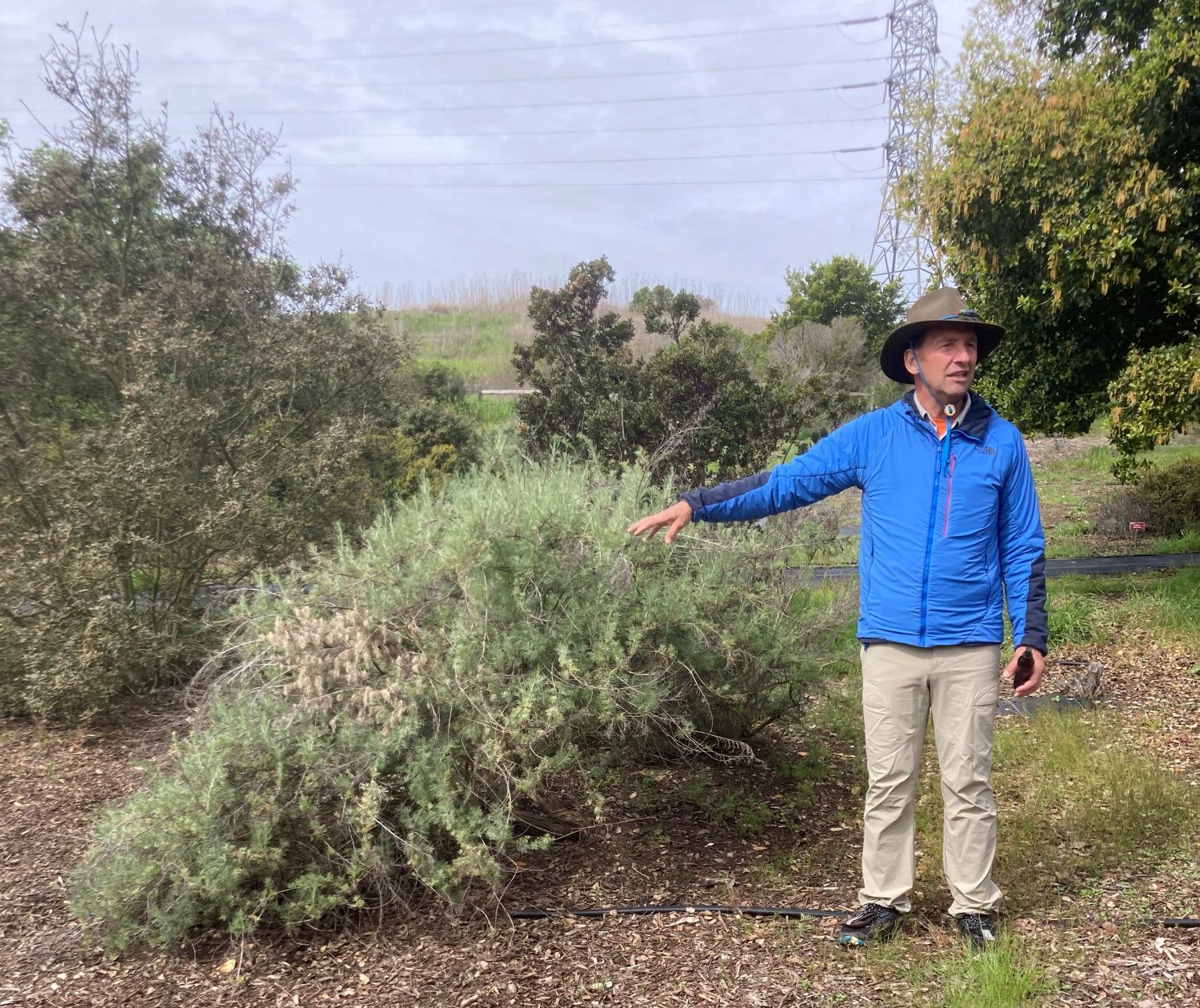 California Native Plant Society