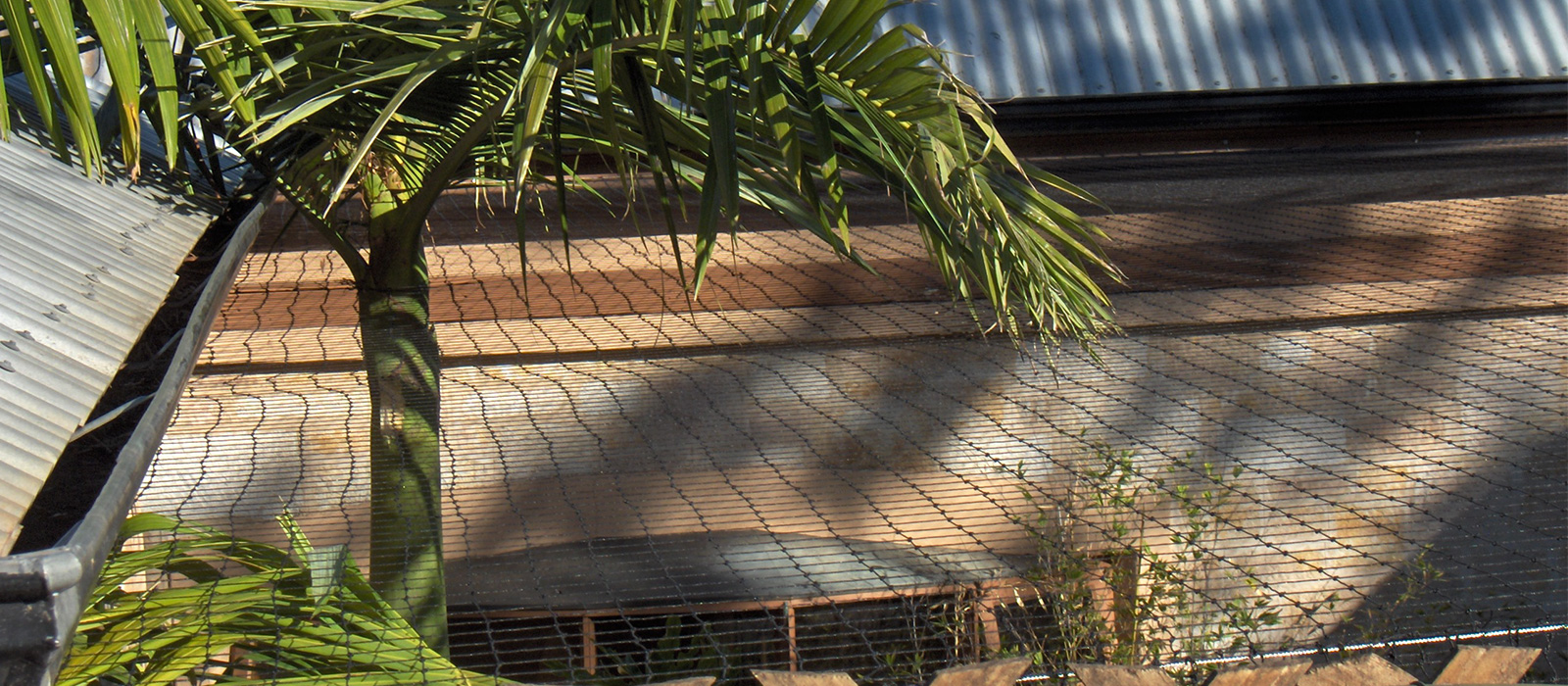 Cat Enclosures, Cat runs & Portable Cat enclosures Australia Wide