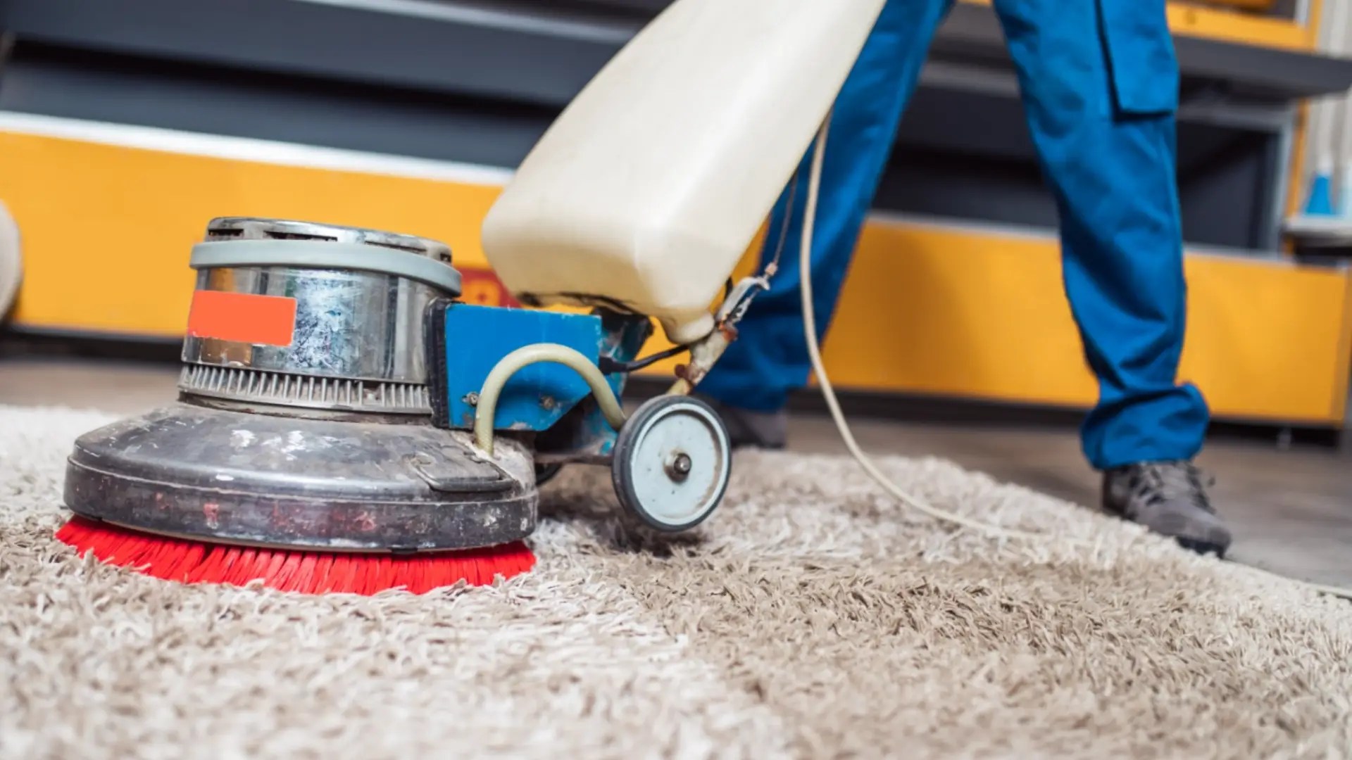 Homepage Steam Green Carpet Cleaning San Francisco