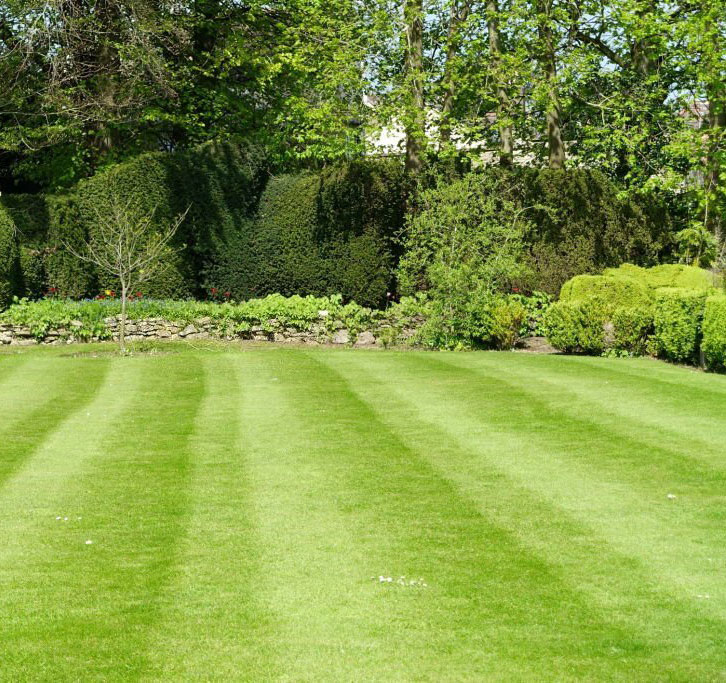 FAQ YearRound Lawn Care Services