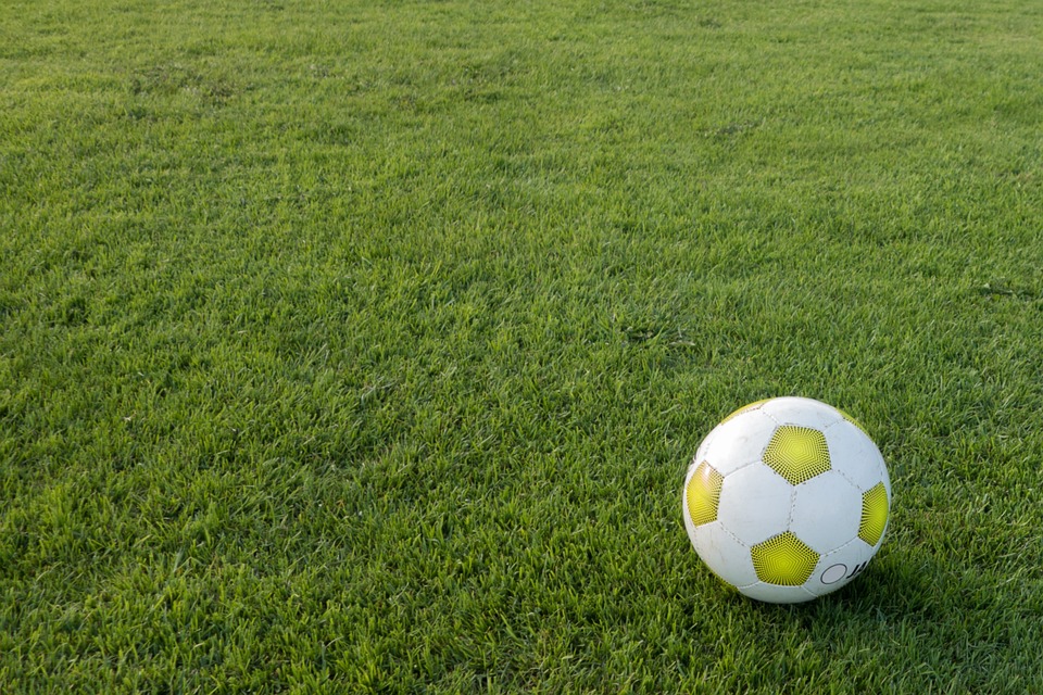 The Benefits of a Sports Turf Management Plan YearRound Lawn Care