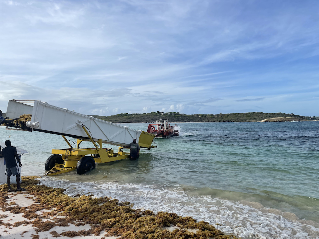 Antigua ships over 20,000kg of Sargassum seaweed to Finland Antiguan