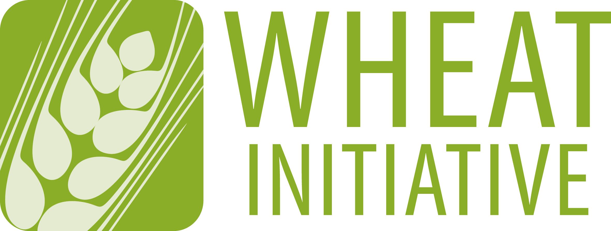 Wheat Initiative Security & Sustainability