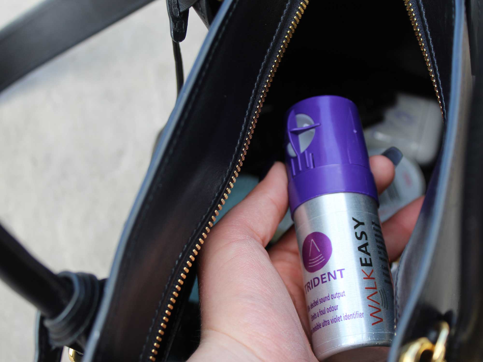 Strong & Durable French Door Security Lock Securian Industries