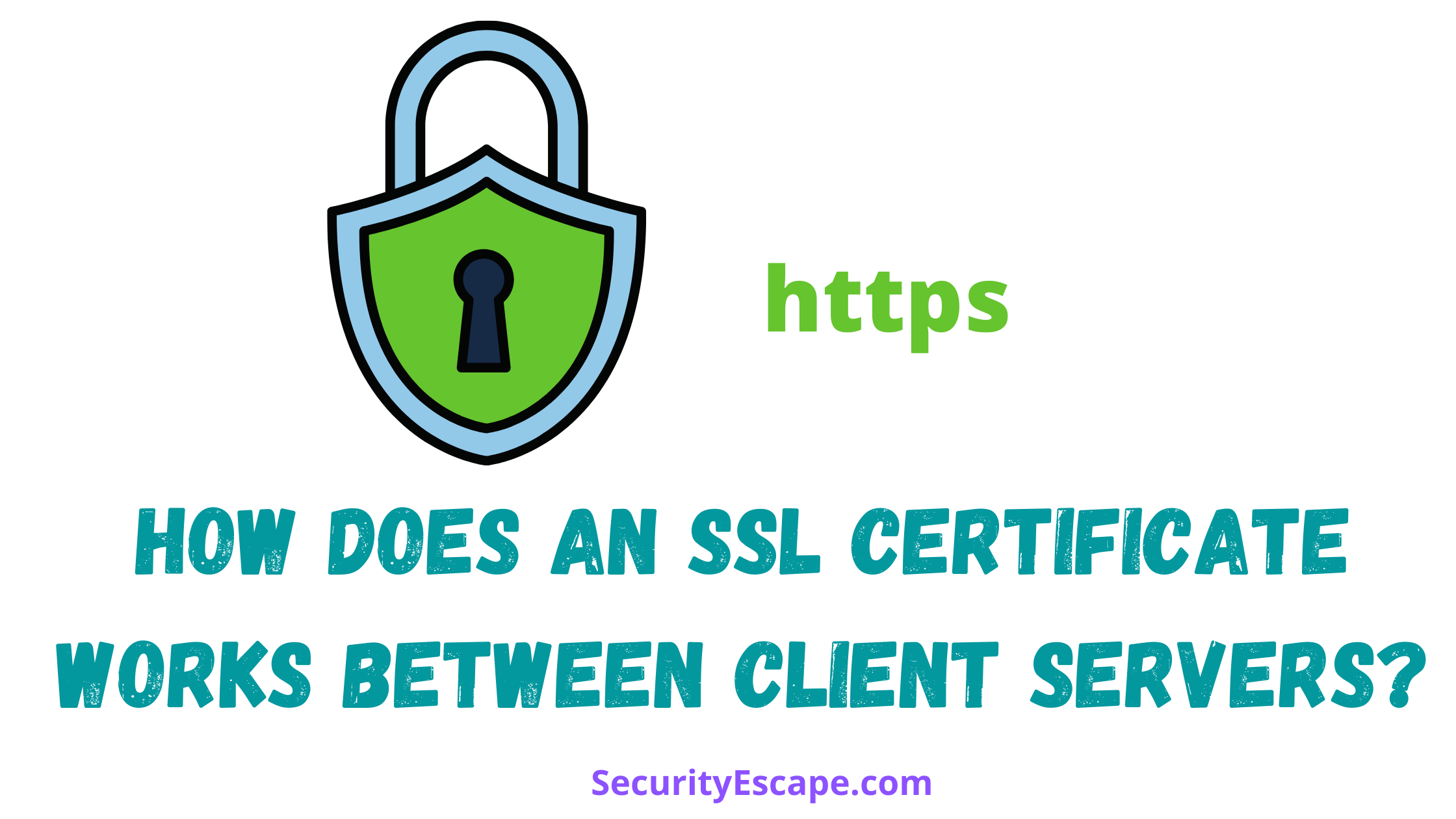 How does an SSL Certificate works between Client and Server?