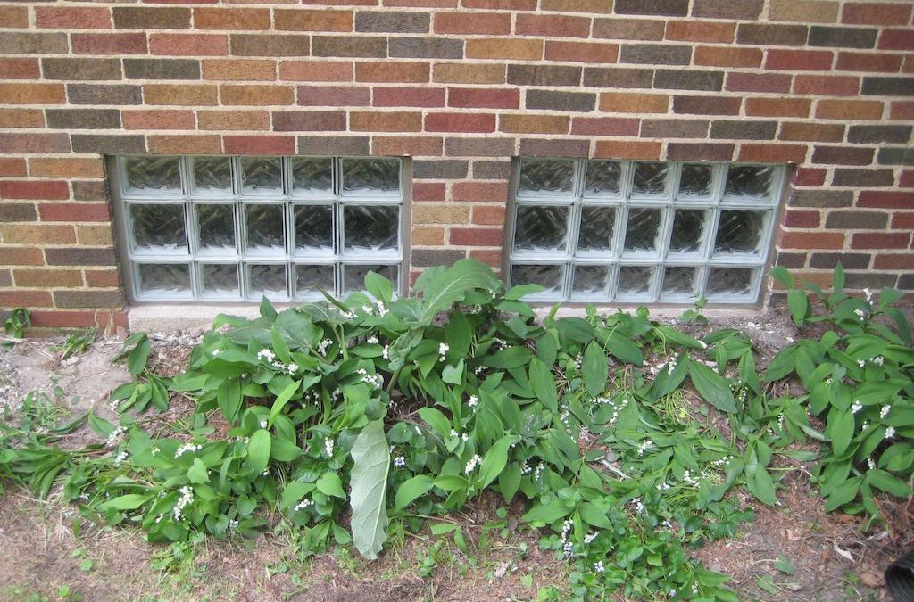 Best Glass Block Supplier Milwaukee Visit Our site Anytime