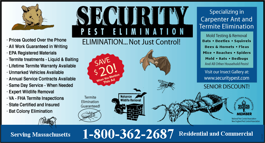The 10 Best Ant Exterminators Near Me (with Free Estimates)