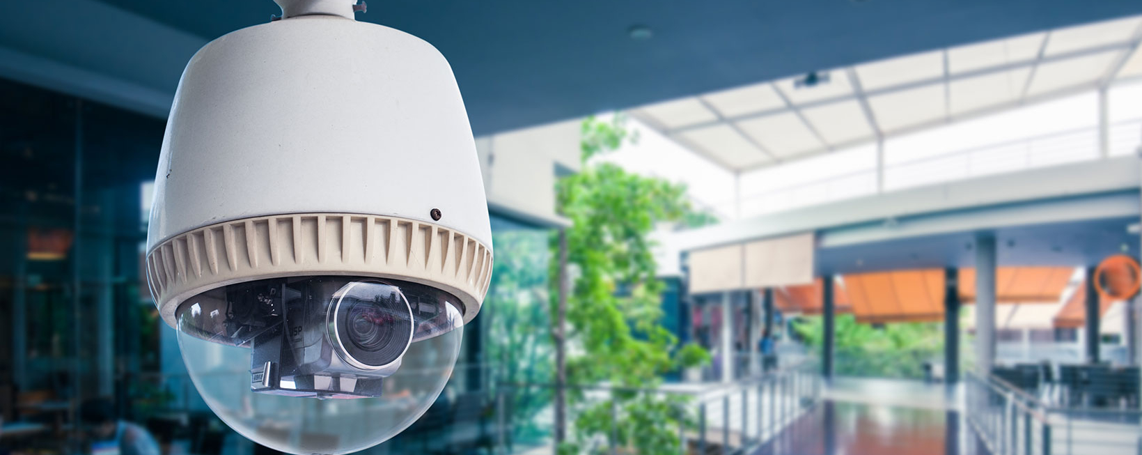 Bozeman Home & Business Security Installation Security Solutions, Inc.