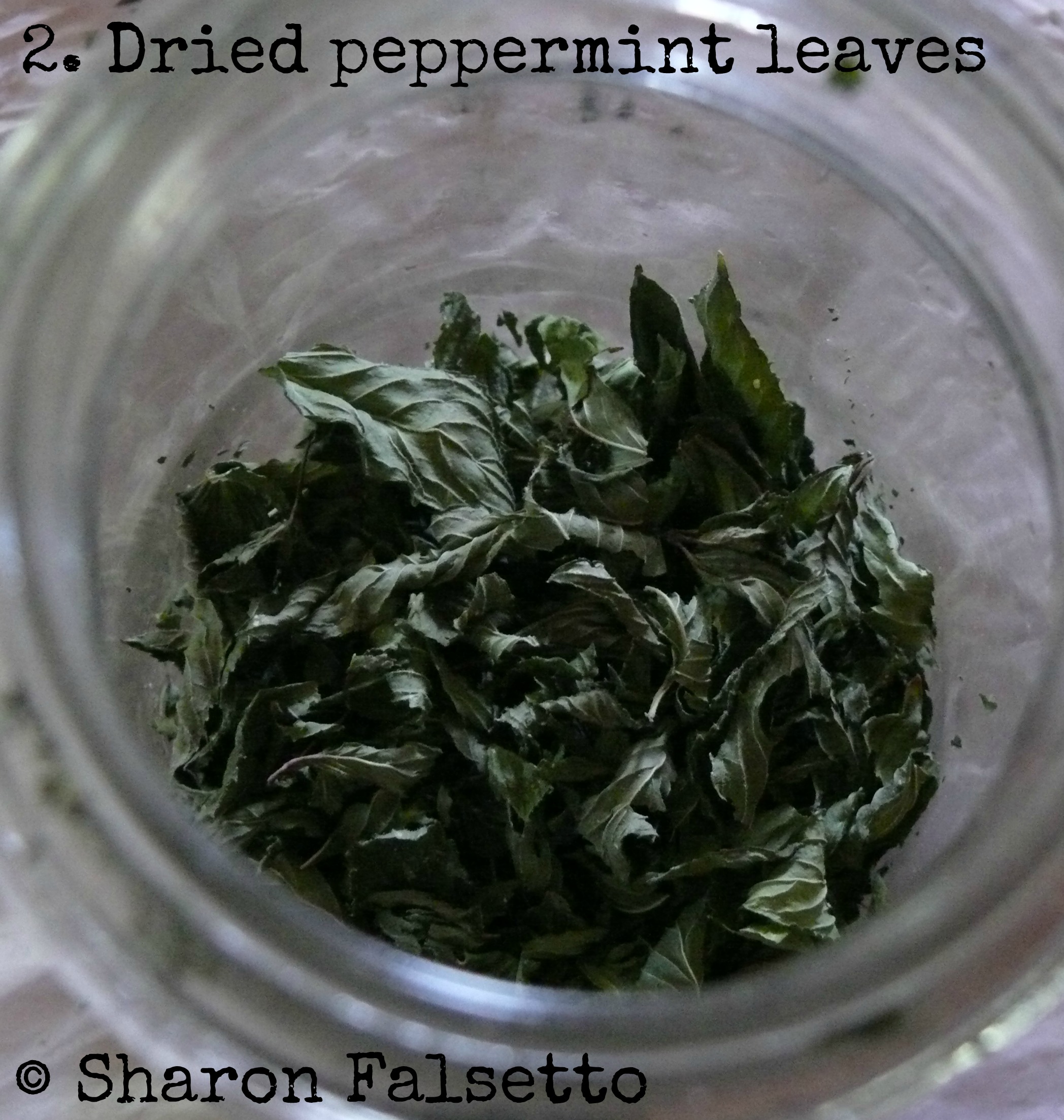 Dried Peppermint Leaves Photo copyright, Sharon Falsetto