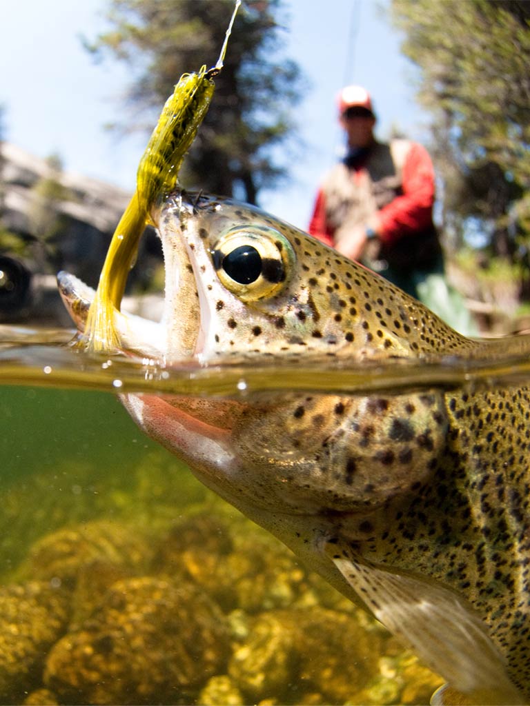 Our Guides Sedona Fly Fishing Adventures