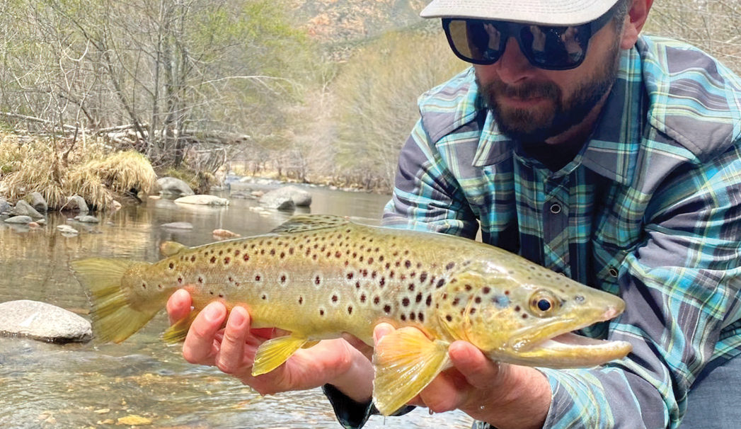 Fly Fishing in Sedona Sedona Monthly