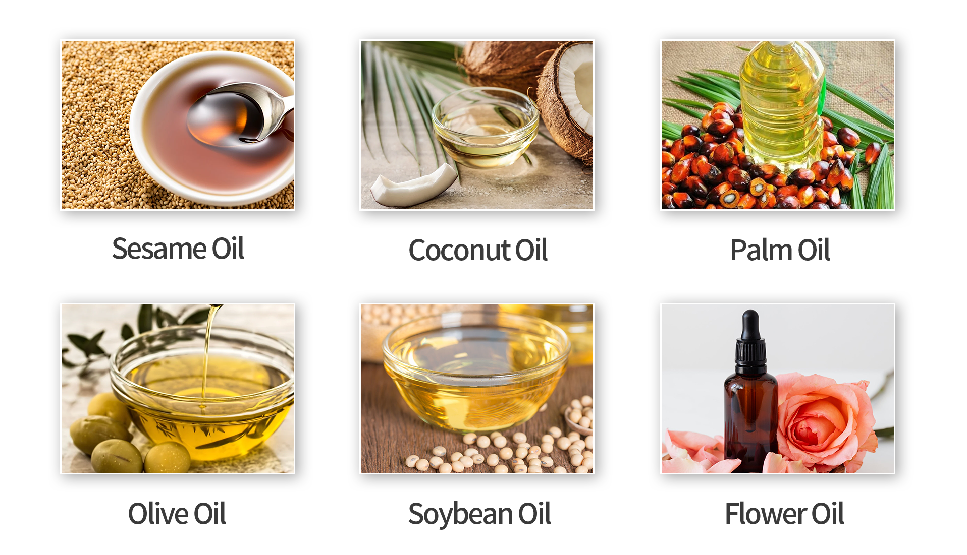 Multifunctional Essential Oil Extraction Production Line SED Pharma